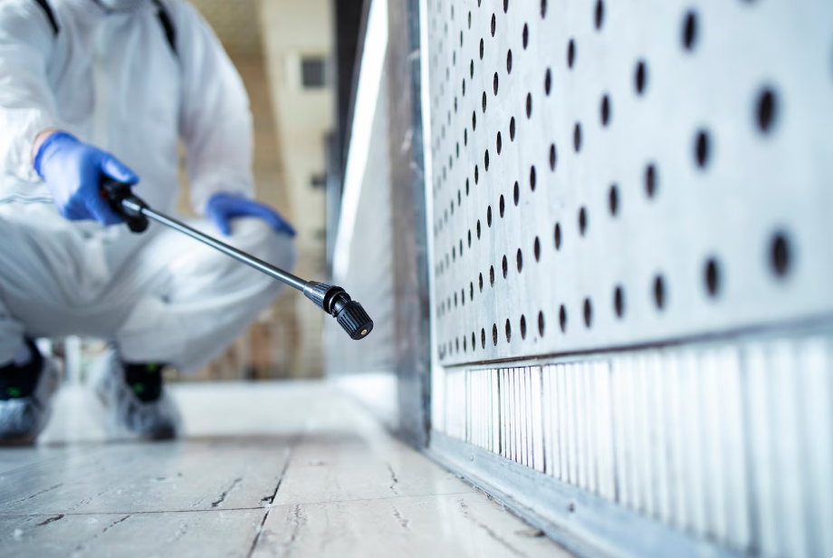 Suggestions for Comparing Pest Control Services in Longview