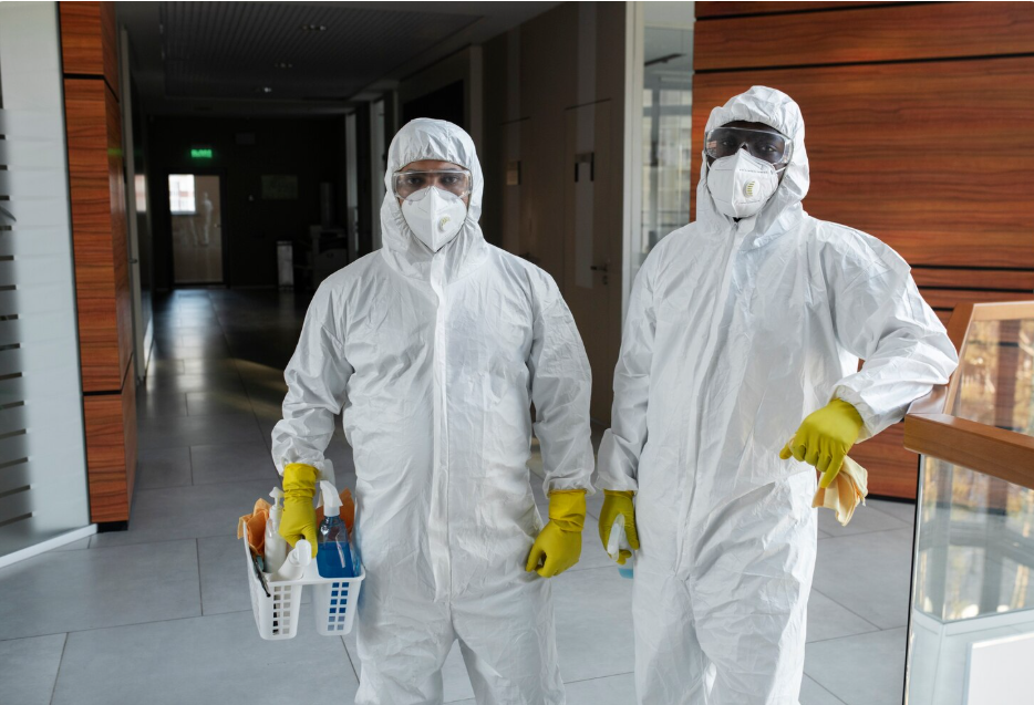 Three Proven Methods Redmond Exterminators Use to Eliminate Bed Bugs